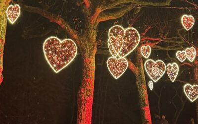 2. Advent am Bodensee